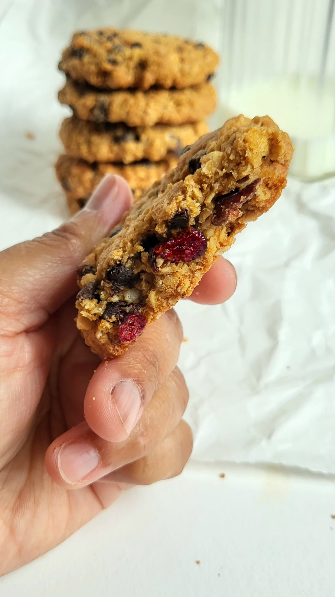 Oatmeal Cranberry view 2